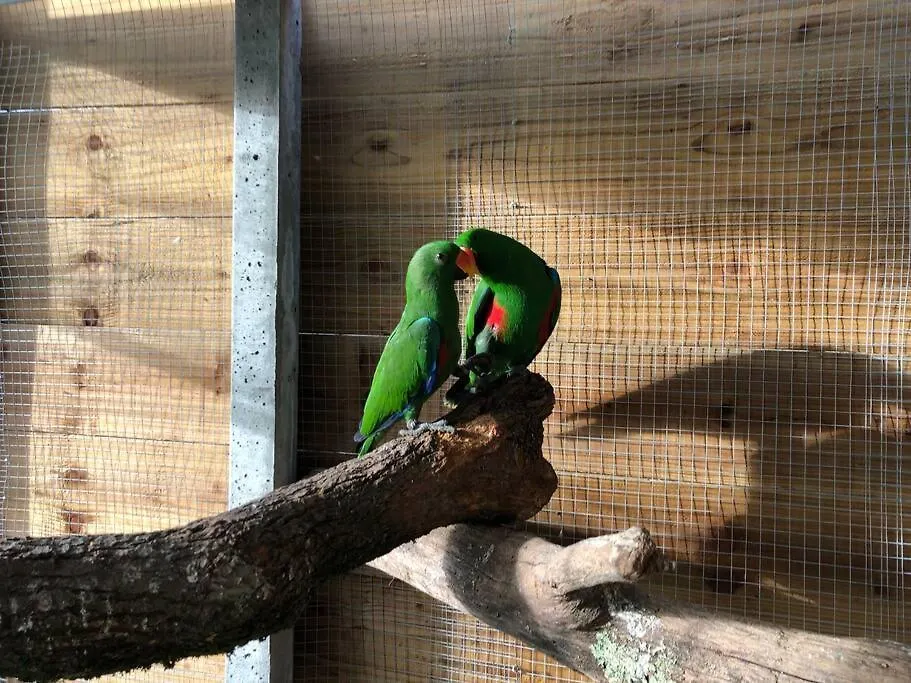 Studio Pour Amoureux De La Nature Et Des Animaux Auriébat 0*,